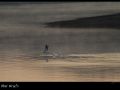 aber-wrach_2897