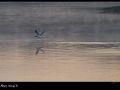 aber-wrach_2898