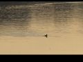 aber-wrach_2906