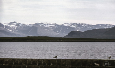 En attente à Reykjavik