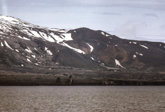 IslandeCepan116